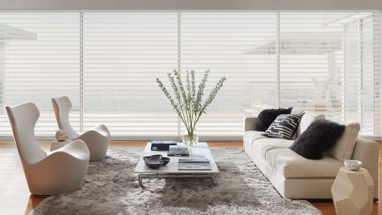 DanGe Roller Blinds